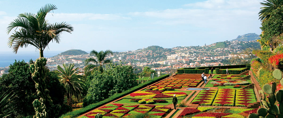 The Botanical Gardens in Funchal, Madeira